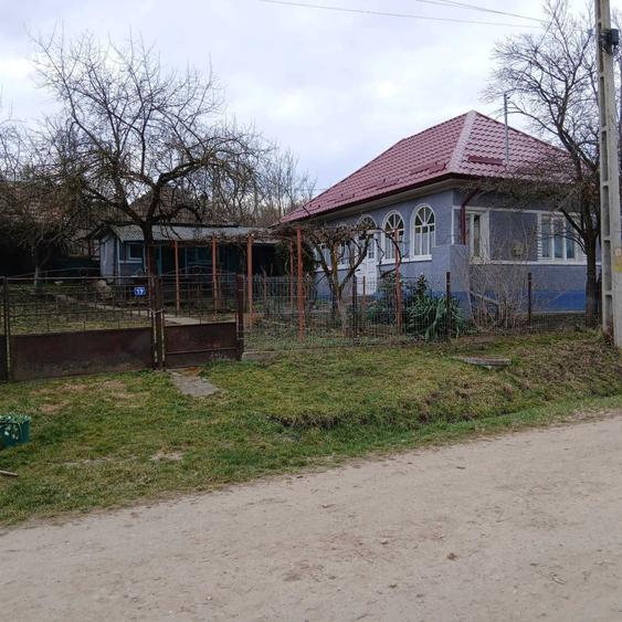 Persoana fizica vand casa in Sat Legii comuna Geaca - 4