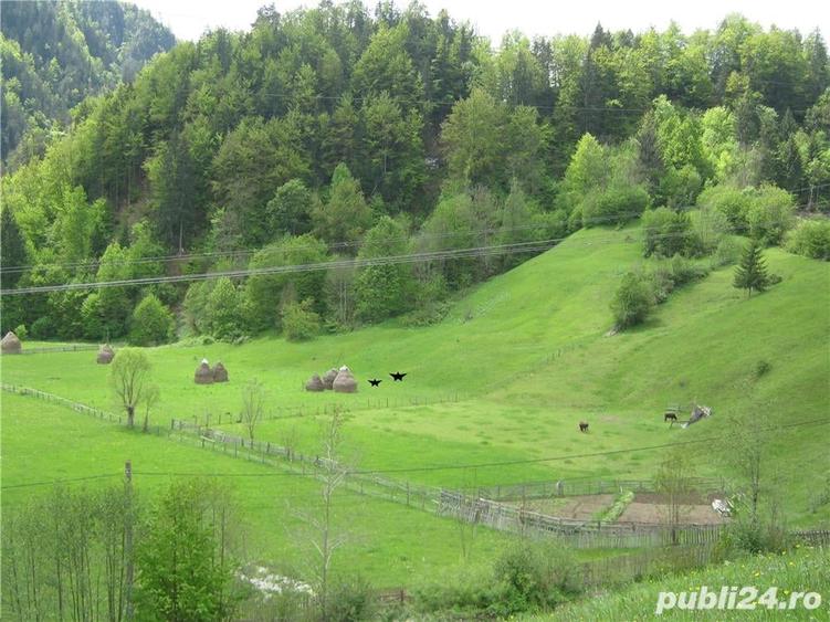 Teren de 2800 mp, în Dâmbovicioara