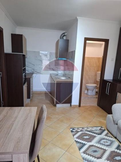Apartament cu 2 camere semidecomandat în Micălaca
