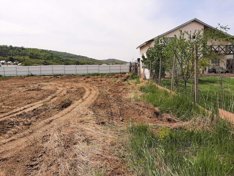 Teren de 1480 mp, în Vlădiceni