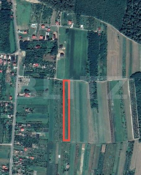 Teren Construcții intravilan de 8575 mp, în Viile Satu Mare
