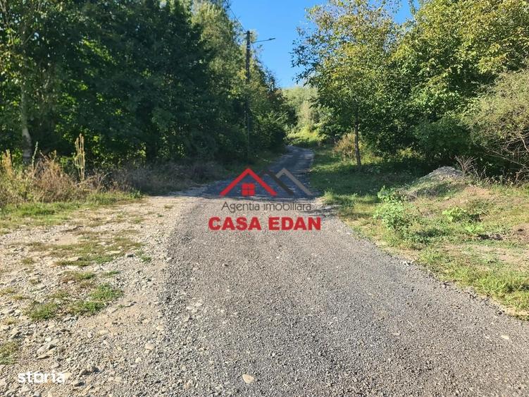 Teren intravilan in Cornu (Ph)--1490 mp--29e - 12