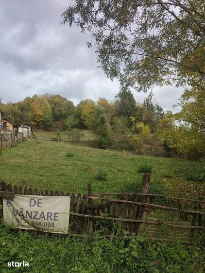 Teren de 1688 mp, în Vișinești
