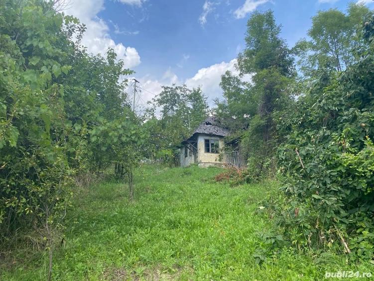 Teren de 8000 mp, în Telega