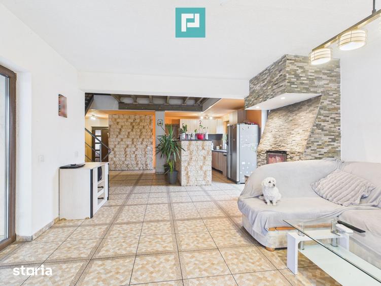 Casă cu 6 camere cu Teren 1376 Mp în Iosefin
