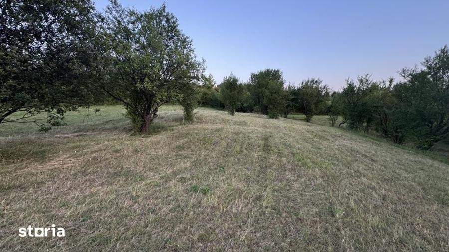 Teren de 5900 mp, în Baia de Fier