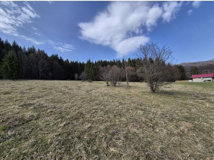 Teren Construcții intravilan de 1243 mp, în Trăisteni