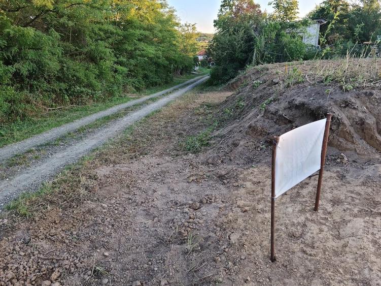 Teren de 10000 mp, în Viile Satu Mare
