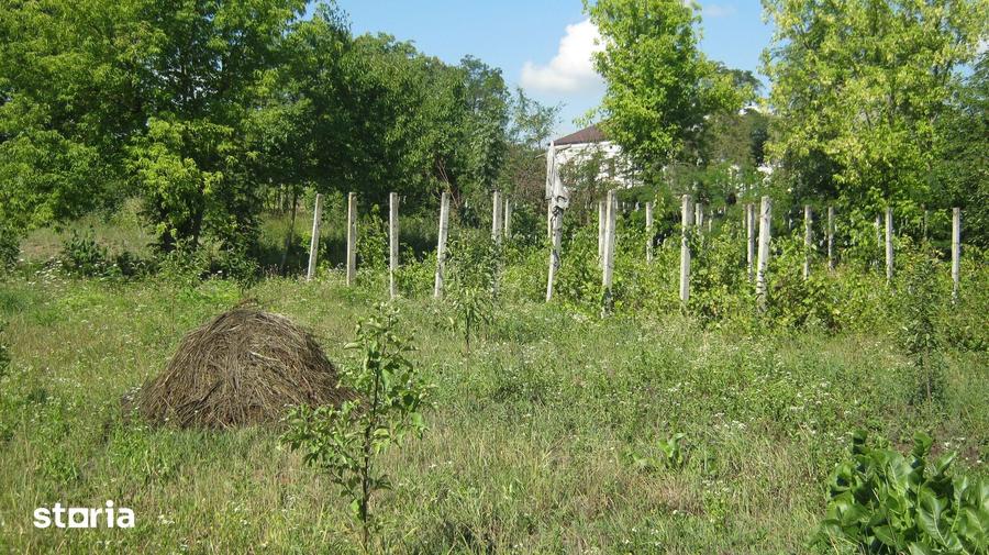 Teren de 3000 mp, în Mihai Eminescu