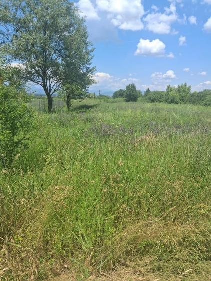 Teren agricol extravilan de 2500 mp, în Periferie