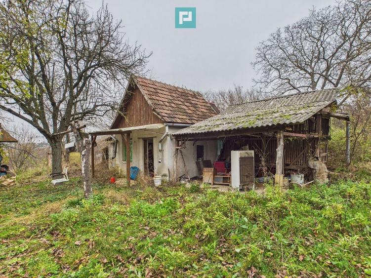 Casă individuală cu 6 camere cu Teren 1234 Mp în Diosig