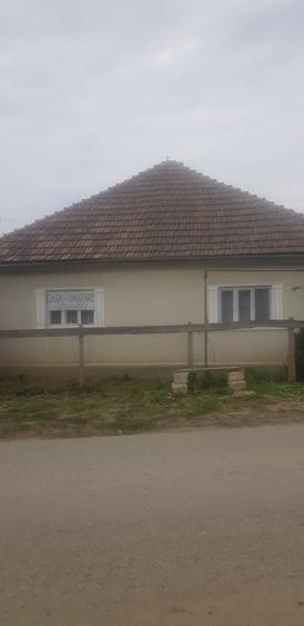 Casă cu 3 camere în Drighiu