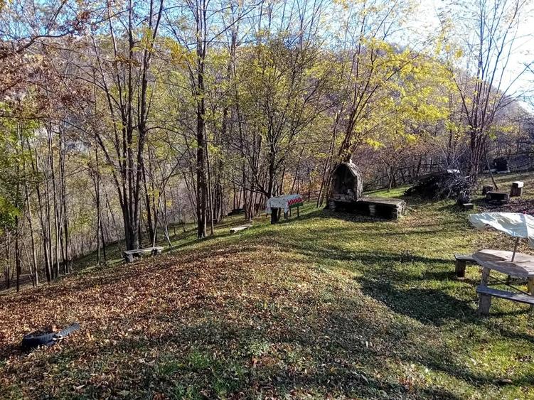 Teren de 1000 mp, în Brebu
