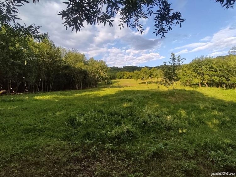 Teren de 3600 mp, în Central