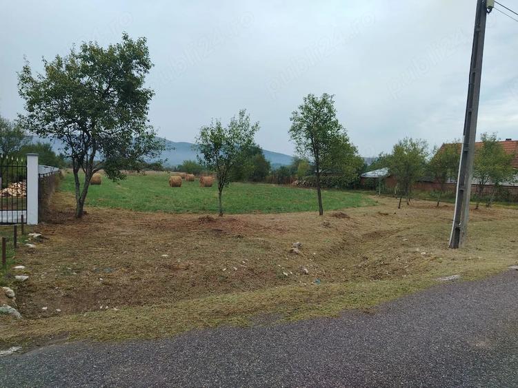 Teren de 3080 mp, în Căprioara