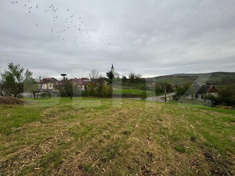Casă individuală cu 5 camere cu Teren 3300 Mp în Sud