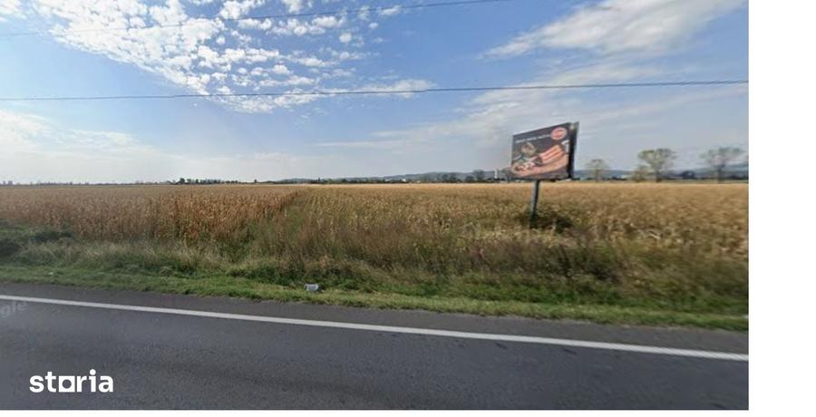 Teren de 5000 mp, în Florești
