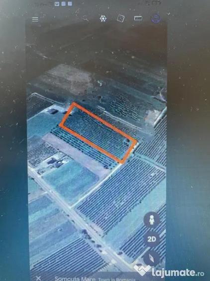 Teren în Central