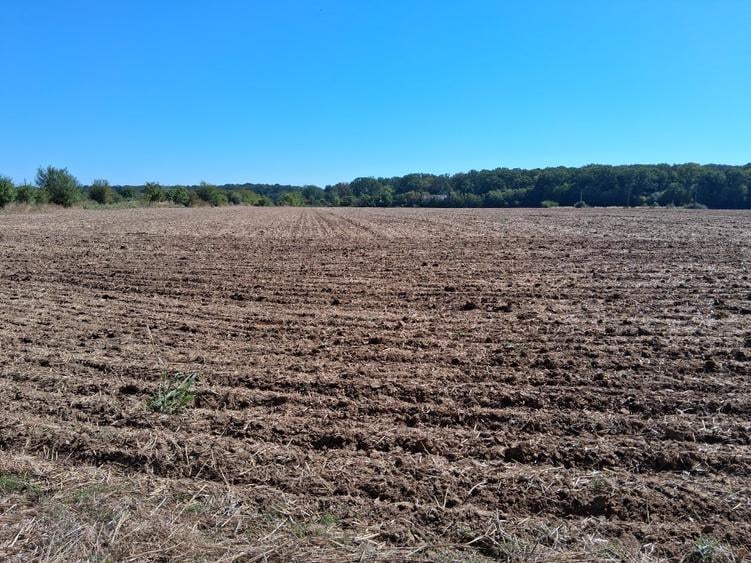 Teren Construcții intravilan de 4998 mp, în Gorgota