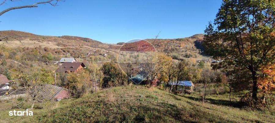 VANZARE Teren intravilan in Provita de Jos - 18