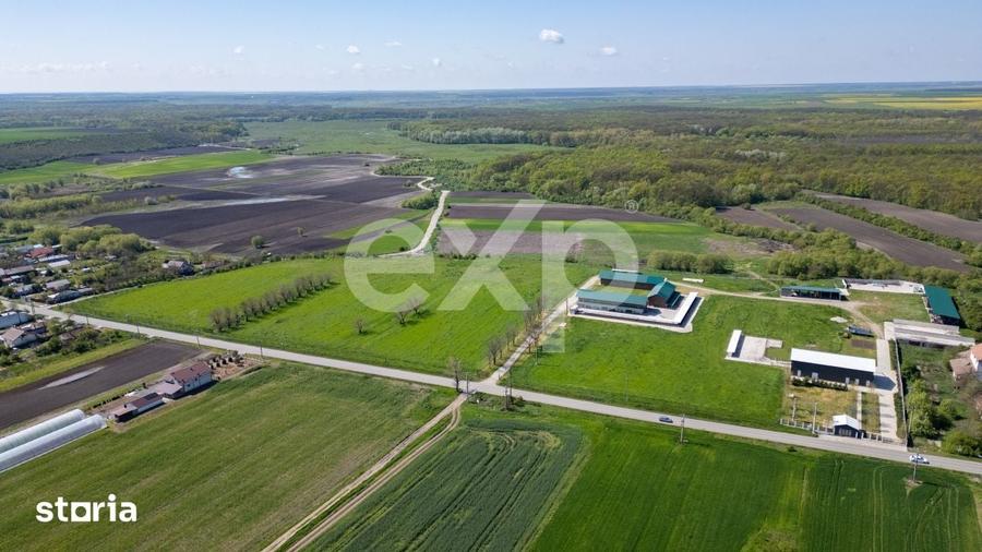 Teren de 105000 mp, în Singureni