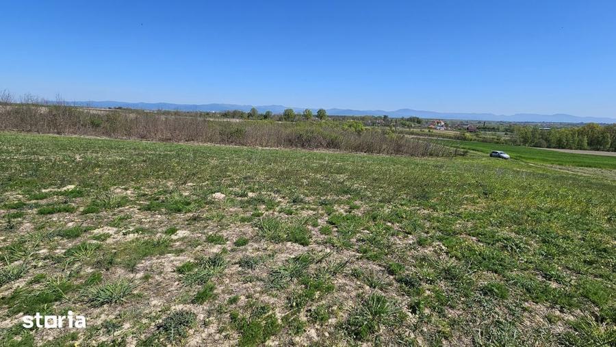 Teren de 5000 mp, în Satulung