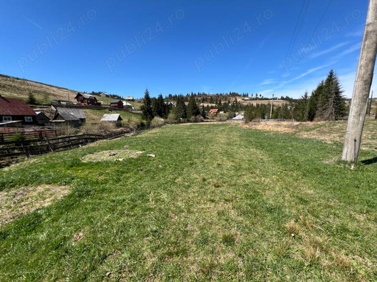 Teren de 3000 mp, în Poiana Horea
