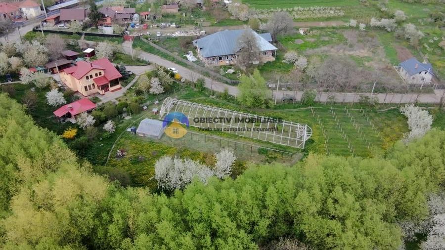 Casă cu 4 camere cu Teren 8807 Mp în Gura Văii