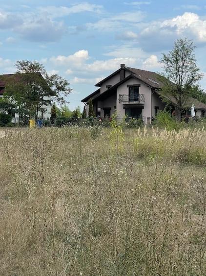 Teren Construcții intravilan de 3774 mp, în Bălteni