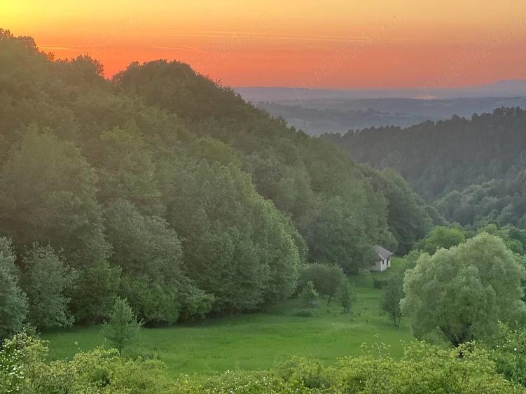 Teren de 4000 mp, în Berchez