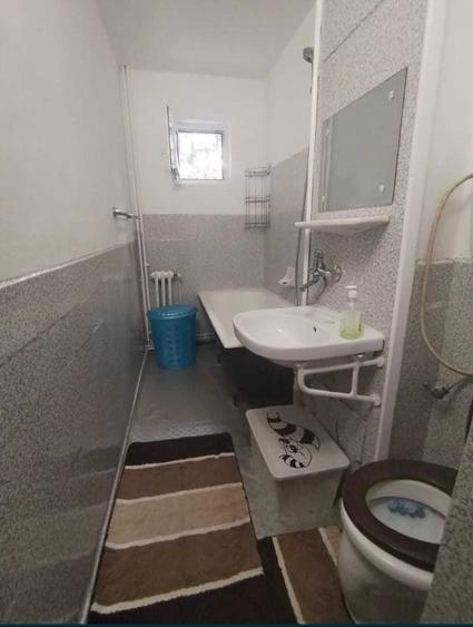 Apartament cu 2 camere semidecomandat, mobilat în Alexandru cel Bun