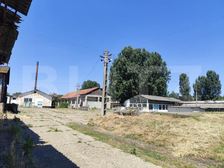 Teren Construcții intravilan de 32000 mp, în Răducăneni