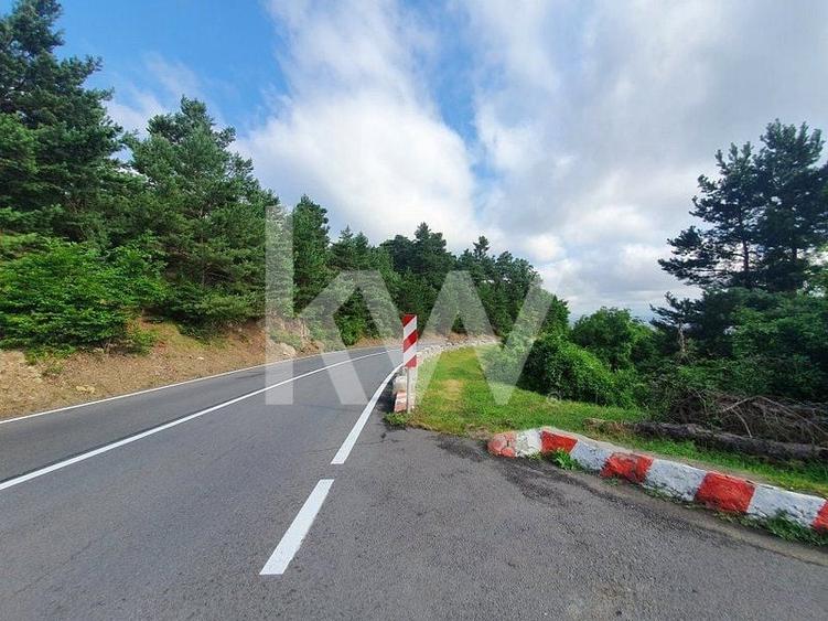 Teren Construcții intravilan de 6714 mp, în Drumul Poienii