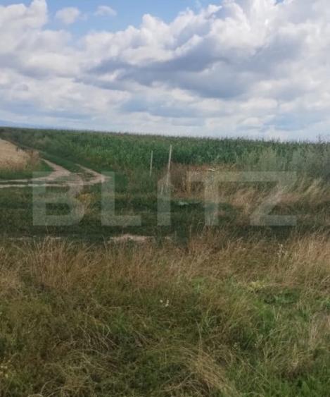 Teren de vanzare, pozi?ie excelenta, pentru investi?ie, - 6