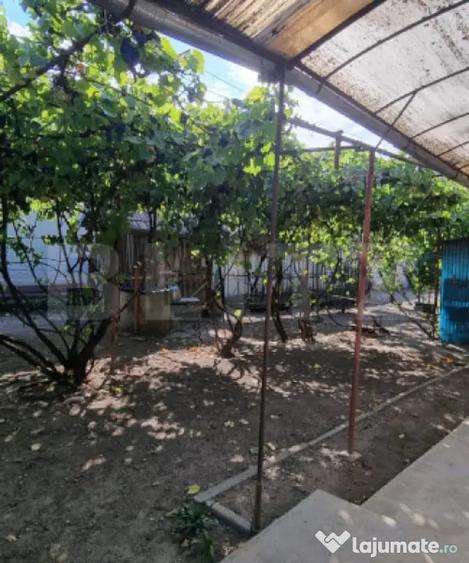 Casa cu 3 camere, anexe, curte ?i gradina - Boian (Cluj) - 10