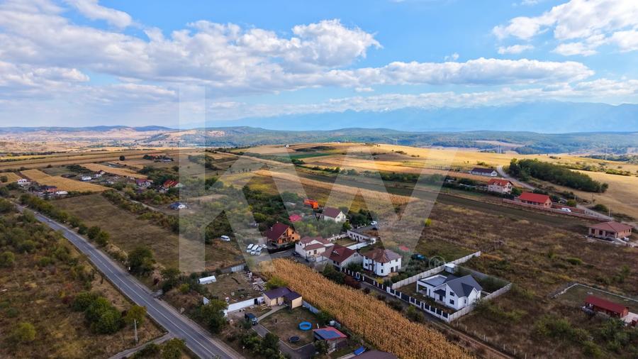 Teren agricol extravilan de 5000 mp, în Daia