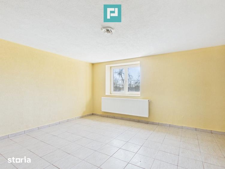 Casă cu 8 camere cu Teren 22919 Mp în Constantin Daicoviciu