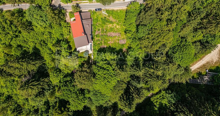 Teren Construcții intravilan de 781 mp, în Poiana Brașov