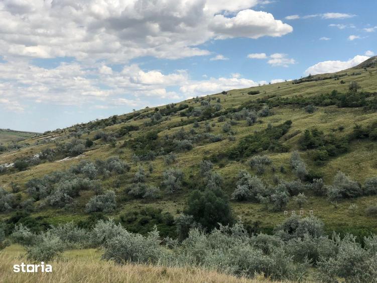Teren de 500000 mp, în Gura Vadului