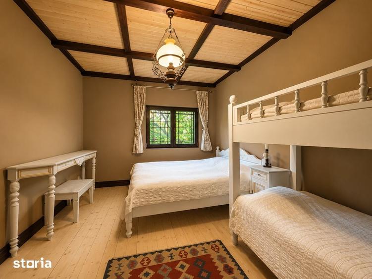 Mountain Chalet | Private Resort | Investment - Nistoresti - 10