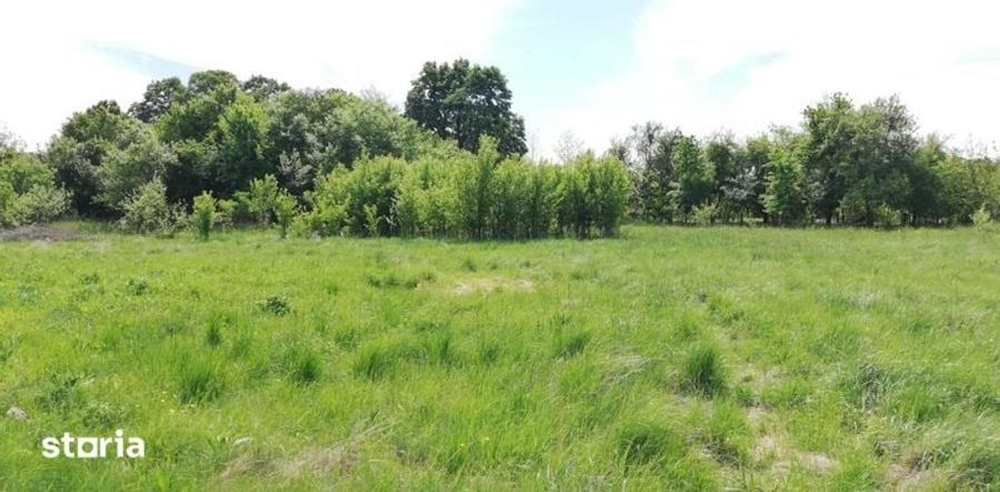 Teren de 11500 mp, în Vărădia de Mureș