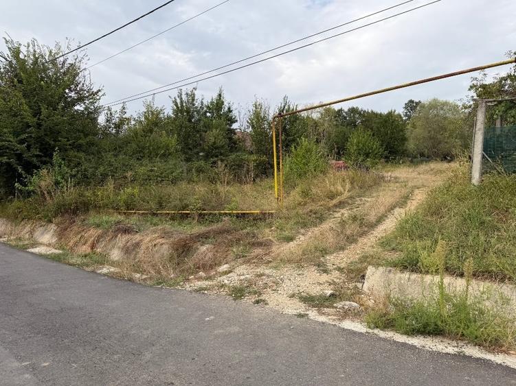 Teren Construcții intravilan de 3210 mp, în Rasova