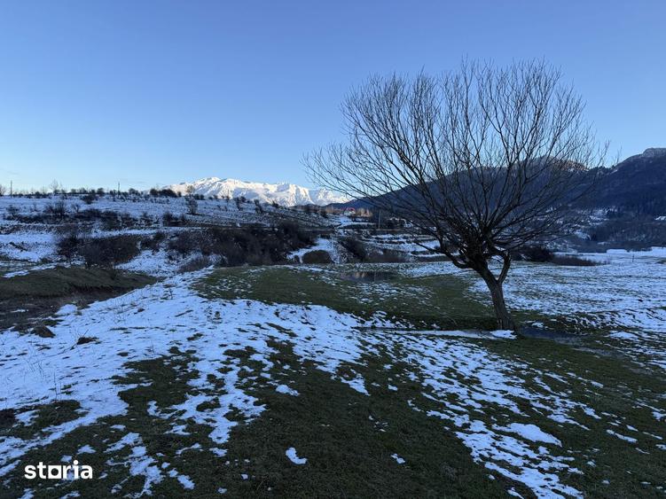 Teren intravilan 667 mp in Zarnesti zona Grui pentru casa - 10