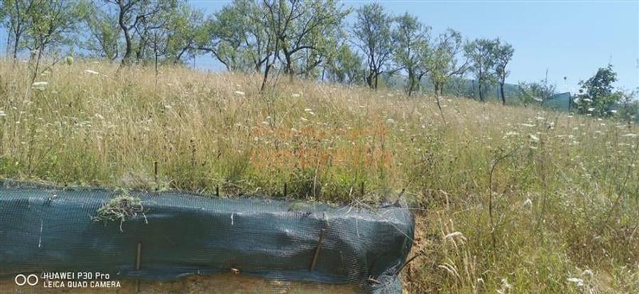 Casă individuală cu 4 camere cu Canalizare în Sumurducu