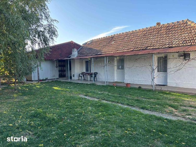 Casă cu 4 camere cu Teren 1200 Mp în Peciu Nou