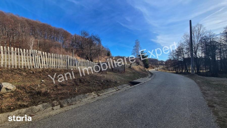 Teren de 4681 mp, în Cicănești