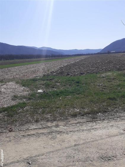 Teren de 2000 mp, în Jiblea Nouă