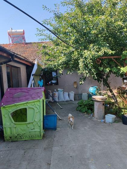 Casă cu 4 camere cu Teren 10000 Mp în Bârca