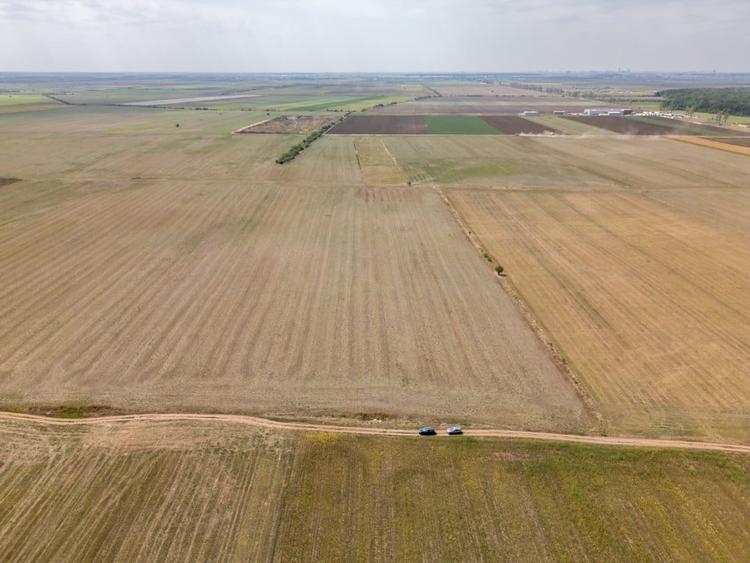 Teren Construcții intravilan de 7500 mp, în Dascălu