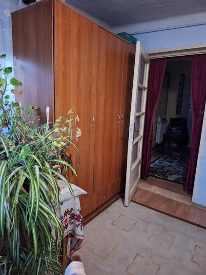 Casa individuala si curte - 5